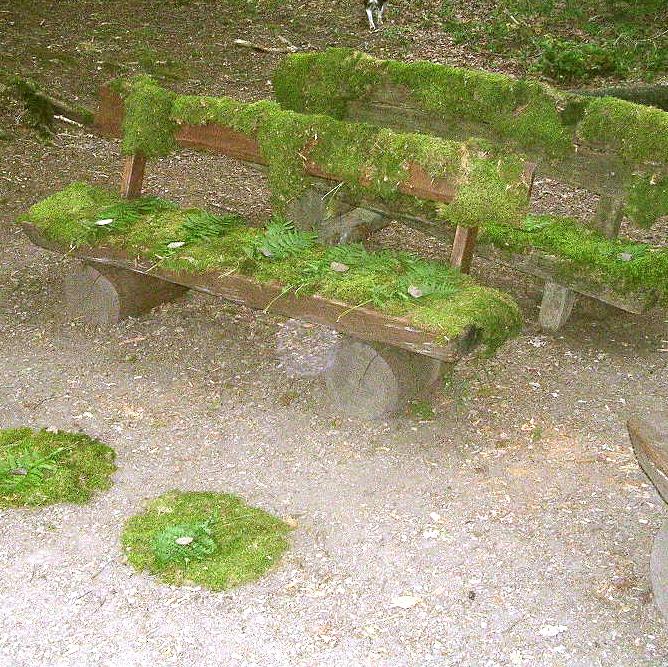 04 Natur Kino